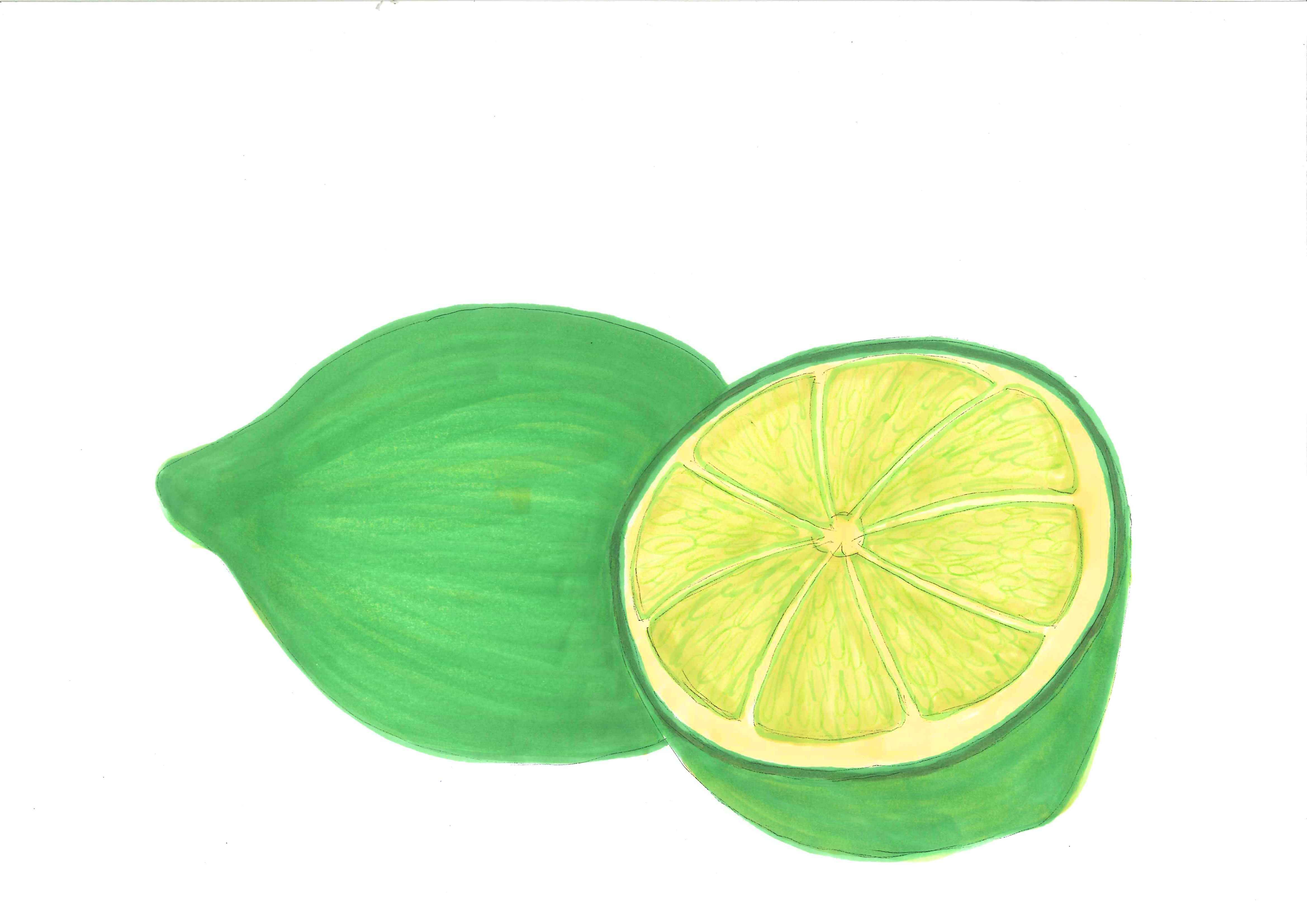 Lime Drawing