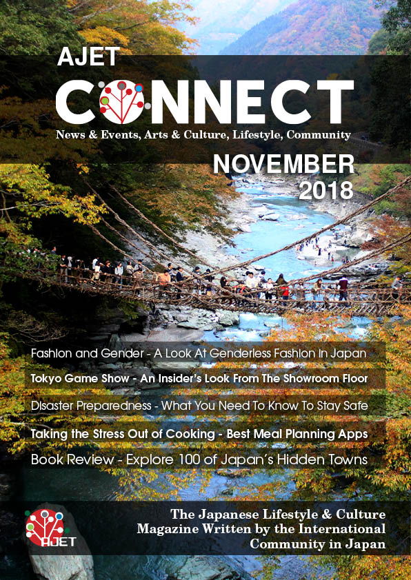 Connect November 2018 Cover